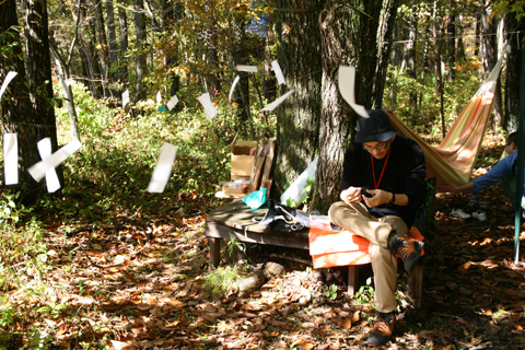 新企画、bookscape 2